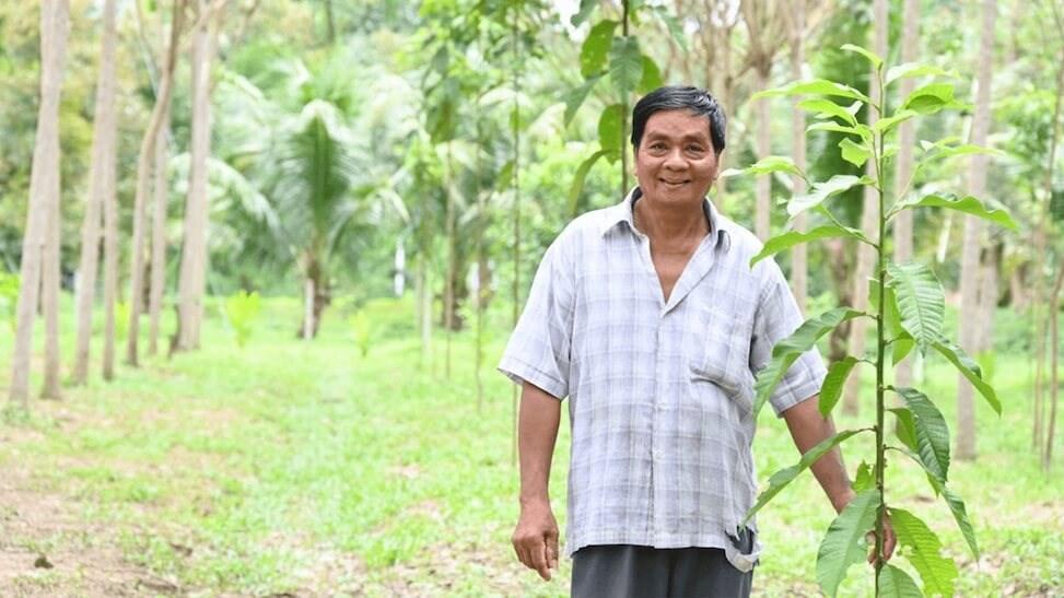 A Thai man stands next to a tree in an orchard