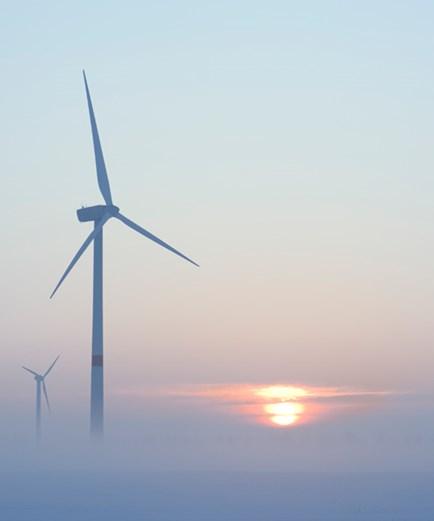 Wind farms in the misty sunset.